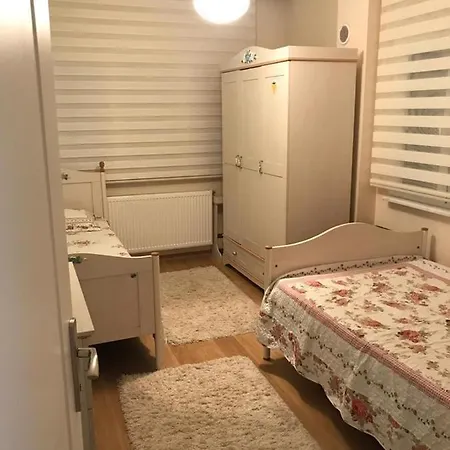 شقة مفروشة في بورصة - Delux Flat In Bursa Διαμέρισμα Nilufer
